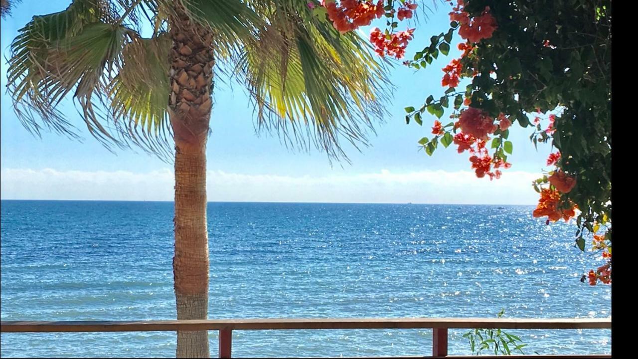 Mi Capricho 9A Beachfront- Apartment With Sea View - Costa Del Sol Sitio de Calahonda Exterior foto